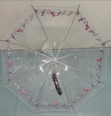 TUV Automatyczny otwarty przezroczysty parasol kompaktowy POE dla dzieci 100 cm