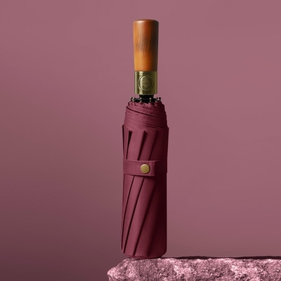 Windproof 10-kręgowy metalowy wał Automatyczne otwarcie / zamknięcie parasol podróży