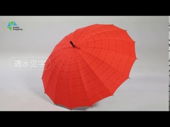 Hot selling Magic umbrella,custom the design.
